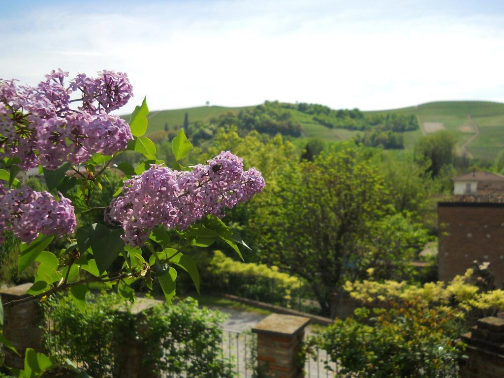Tenuta Calabiana Diano dʼAlba Værelse billede