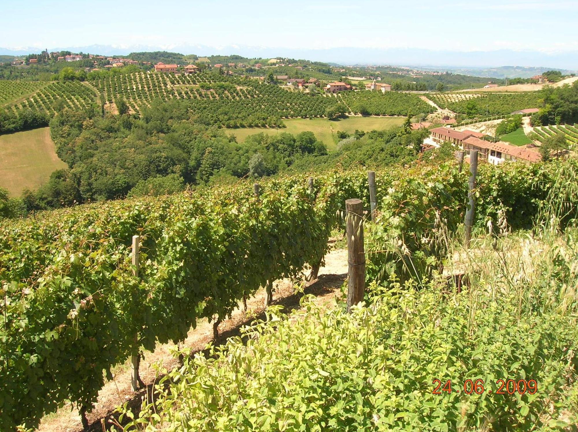 Tenuta Calabiana Diano dʼAlba Eksteriør billede