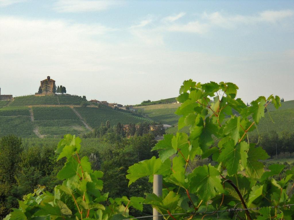 Tenuta Calabiana Diano dʼAlba Værelse billede